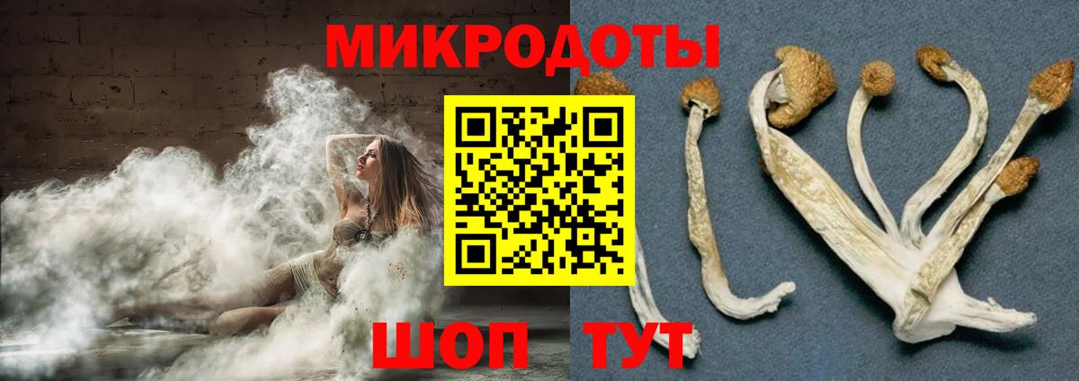 Амурск  Псилоцибиновые грибы мицелий  Вход с VPN 